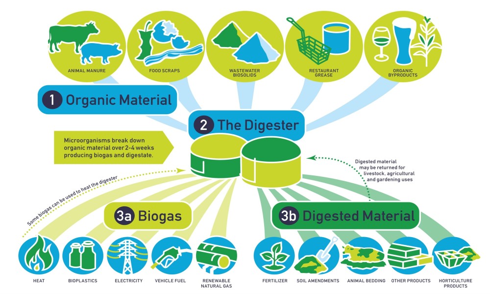 Biogas System Workflow
